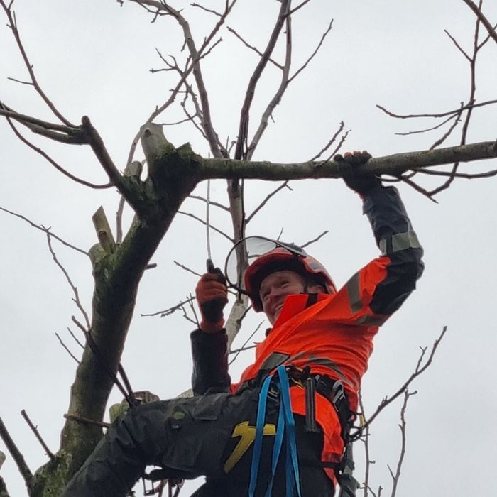 Boom snoeien Nijmegen  boom kappen in Nijmegen Boom snoeien Berg en Dal Boom kappen Berg en dal Boom snoeien Malden Boom kappen Malden Boom snoeien Heilig Landstichting Boom kappen Heilig landstichting Boom snoeien Mook Boom kappen Mook Boom snoeien Cuijk Boom kappen Cuijk Boom snoeien Wijchen Boom kappen Wijchen Boom snoeien Lent Boom kappen Lent Boom snoeien Ede Boom kappen ede Boom snoeien Winssen Boom kappen Winssen Boom snoeien Kessel Boom kappen Kessel Boom snoeien Groesbeek Boom kappen Groesbeek 
Boom snoeien Oosterhout Boom kappen Oosterhout Boom snoeien Beuningen Boom kappen Beuningen Boom snoeien Beneden-Leeuwen Boom kappen Beneden-Leeuwen Boom snoeien Ravenstein Boom kappen Ravenstein Boom snoeien Grave Boom kappen Grave
Boom snoeien Arnhem Boom kappen Arnhem Boom snoeien  Rhede Boom kappen Rhede Boom snoeien Zevenaar Boom kappen Zevenaar 
Boom snoeien Druten  Boom kappen Druten Boom snoeien Tiel Boom kappen Tiel Boom snoeien Doetinchem Boom kappen Doetinchem 
Boom snoeien Elst Boom kappen Elst Boom snoeien Heumen Boom kappen Heumen Boom snoeien  Ooy Ooij Boom kappen Ooy Ooij Boom snoeien Hernen Boom kappen Hernen Boom snoeien Wamel Boom kappen Wamel 
Boom snoeien Ressen Boom kappen Ressen Boom snoeien Doornenburg Boom kappen Doornenburg Boom snoeien Lent Boom kappen Lent
Boom snoeien Millingen aan de Rijn Boom kappen Millingen aan de Rijn Boom snoeien Plasmolen Boom kappen Plasmolen 
Boom snoeien Middelaar  Boom kappen Middelaar Boom snoeien Milsbeek Boom kappen Milsbeek  Boom snoeien Molenhoek Boom kappen Molenhoek Boom snoeien Gennep Boom kappen Gennep 
