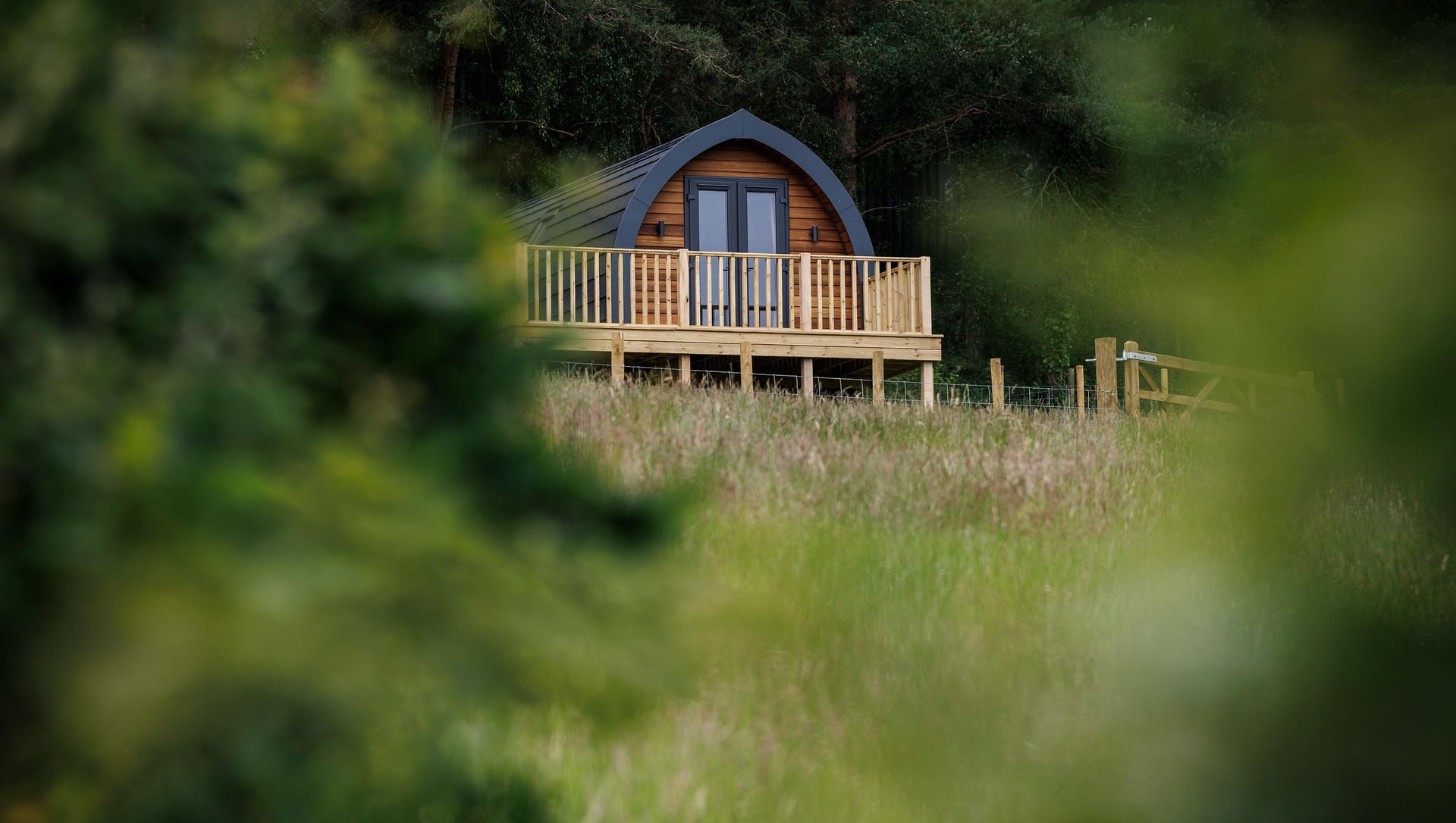 Small wooden cabin with a balcony on a grassy hillside, framed by blurred green foliage in the foreground