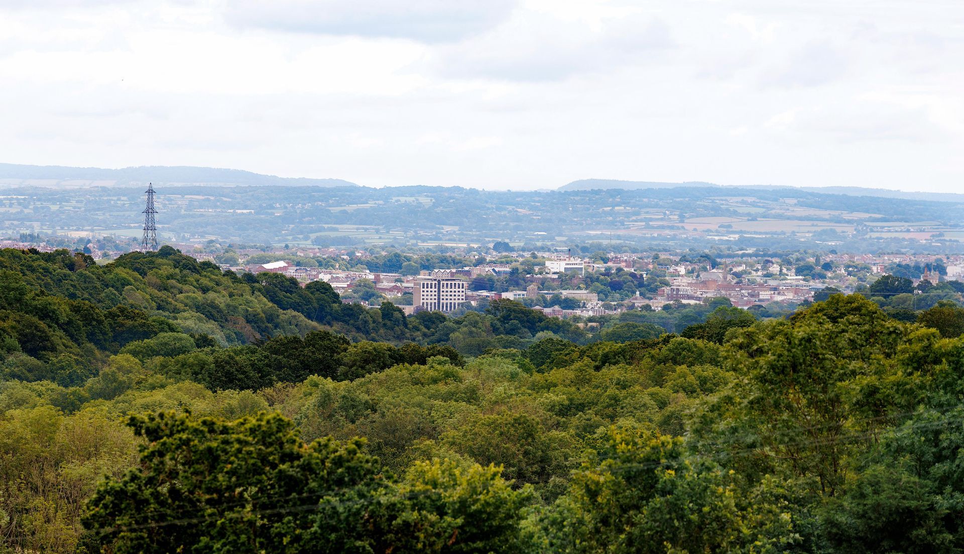 Wide view of a green forest overlooking a distant city under a hazy sky