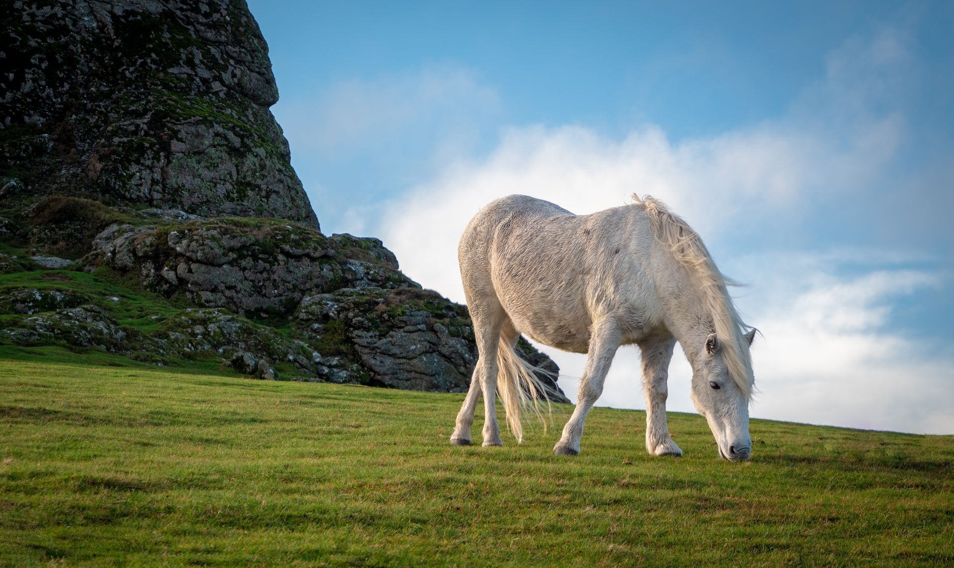White horse grazing on green grass beside a rocky cliff under a blue sky