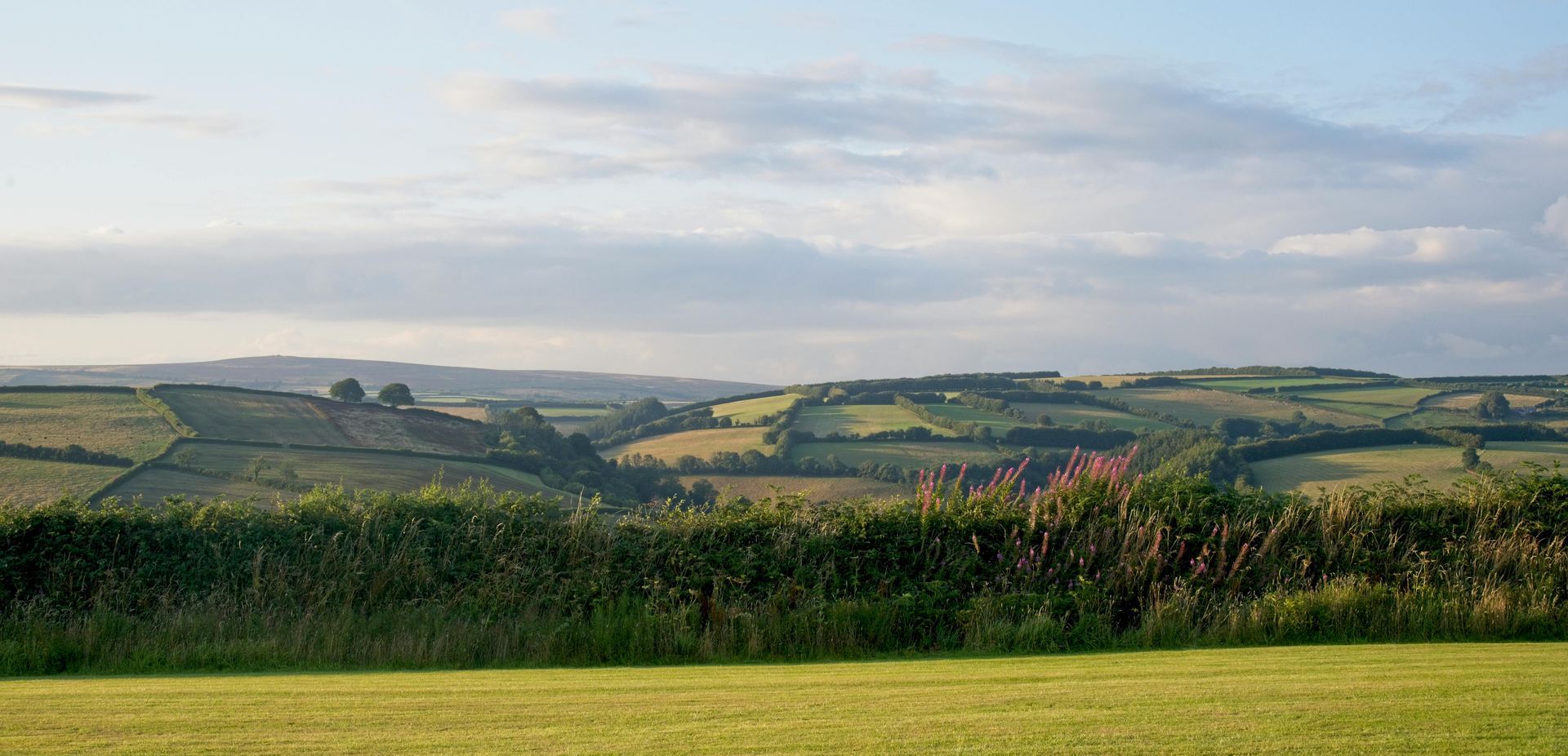 Rolling green fields and hedgerows under a cloudy sky in a rural countryside landscape