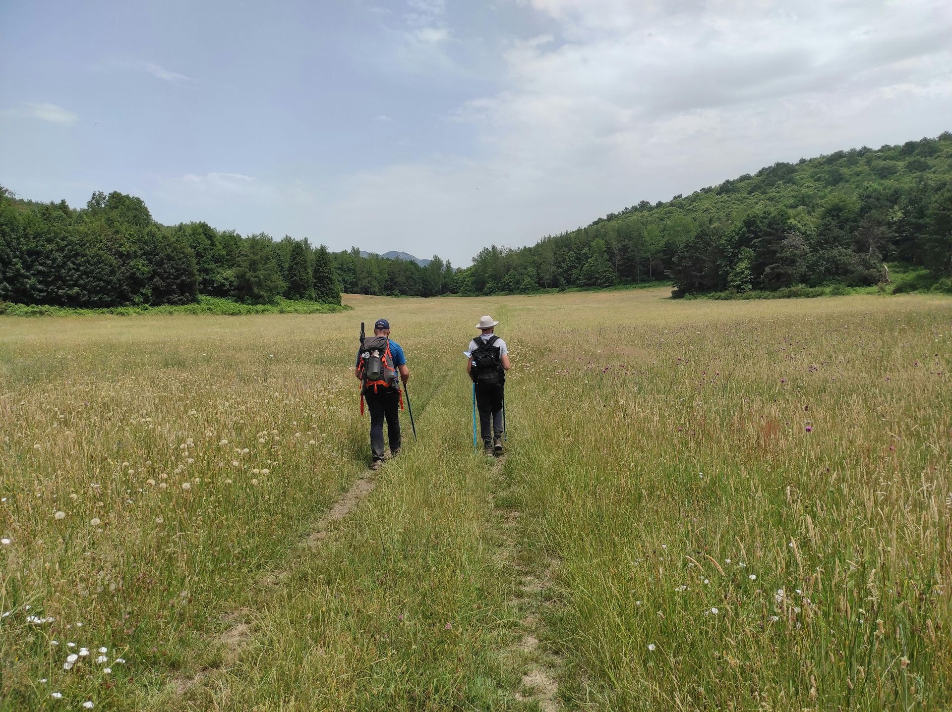Two hikers walking through a grassy meadow under a cloudy sky, with trees lining the horizon.