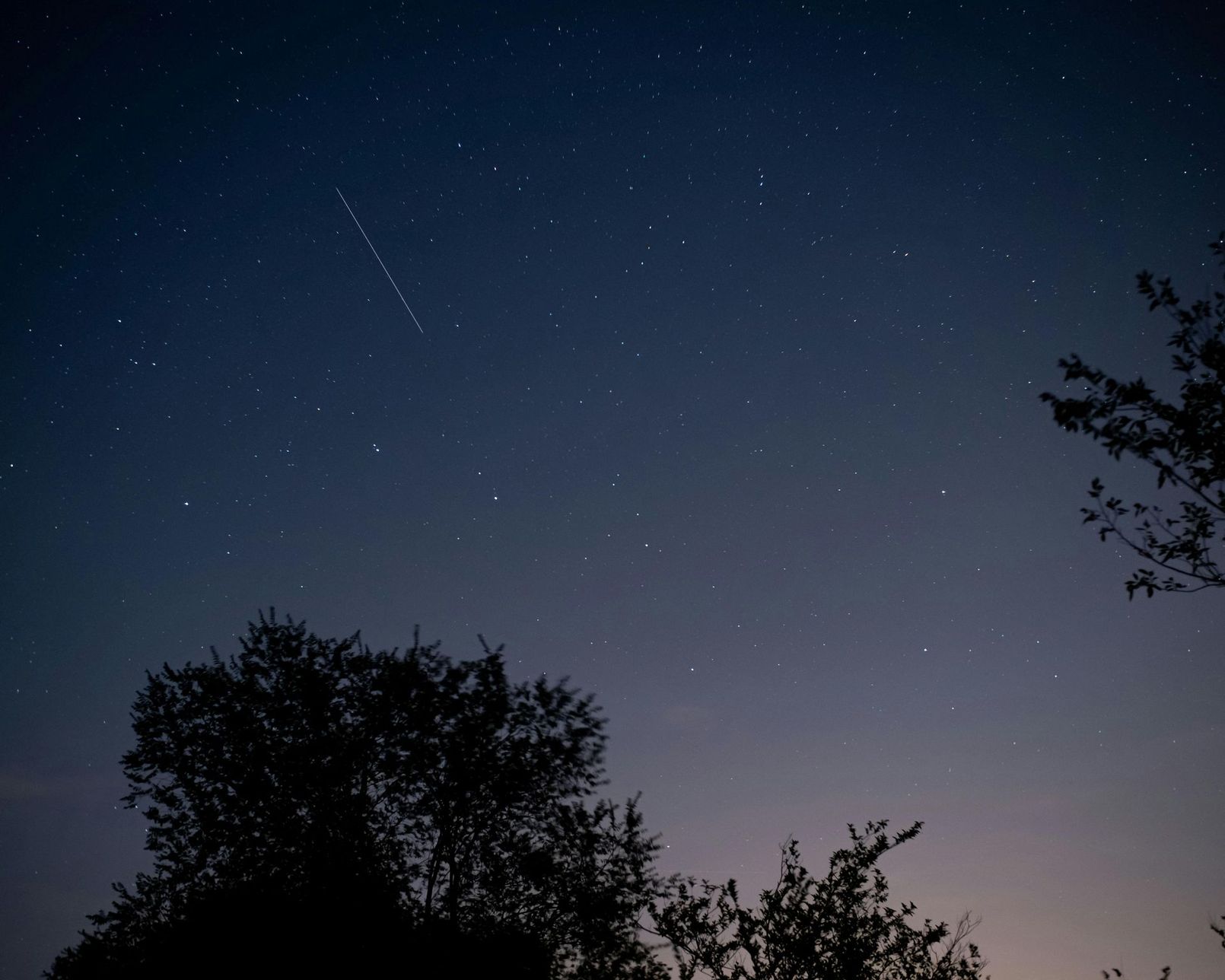 Starry night sky above silhouetted trees, with a bright shooting star streaking across the left side.