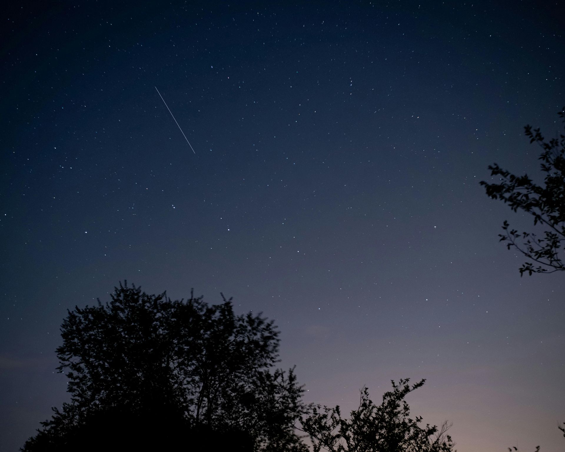 Starry night sky above silhouetted trees, with a bright shooting star streaking across the left side.