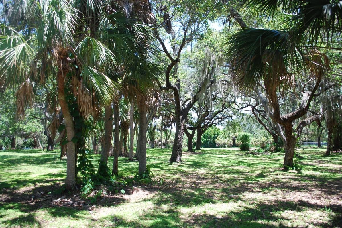 Shaded paths surrounded by oak and palm trees in Red Bug Slough Preserve near Bee Ridge, FL.