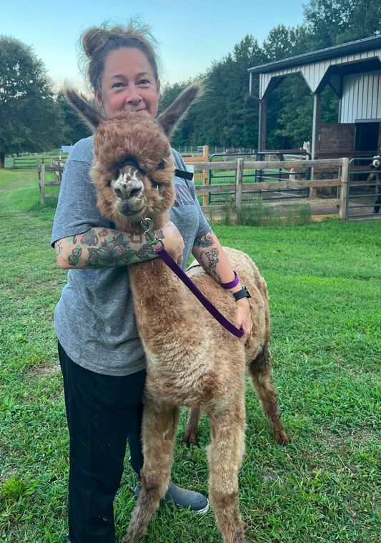 Veteran with an alpaca