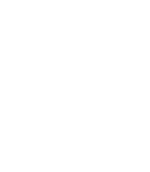 a wheelchair/handicap icon