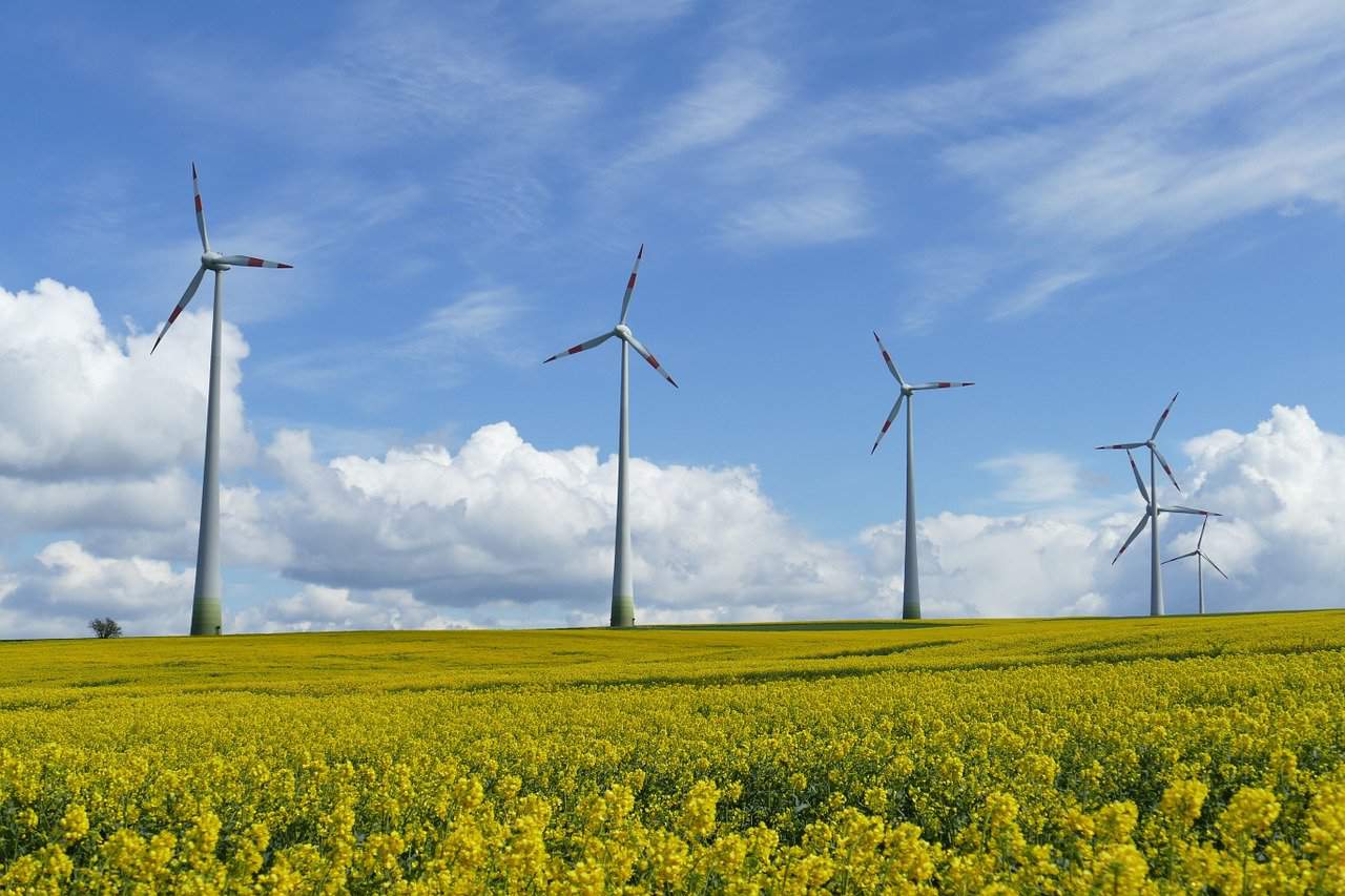 parque de energía eólica