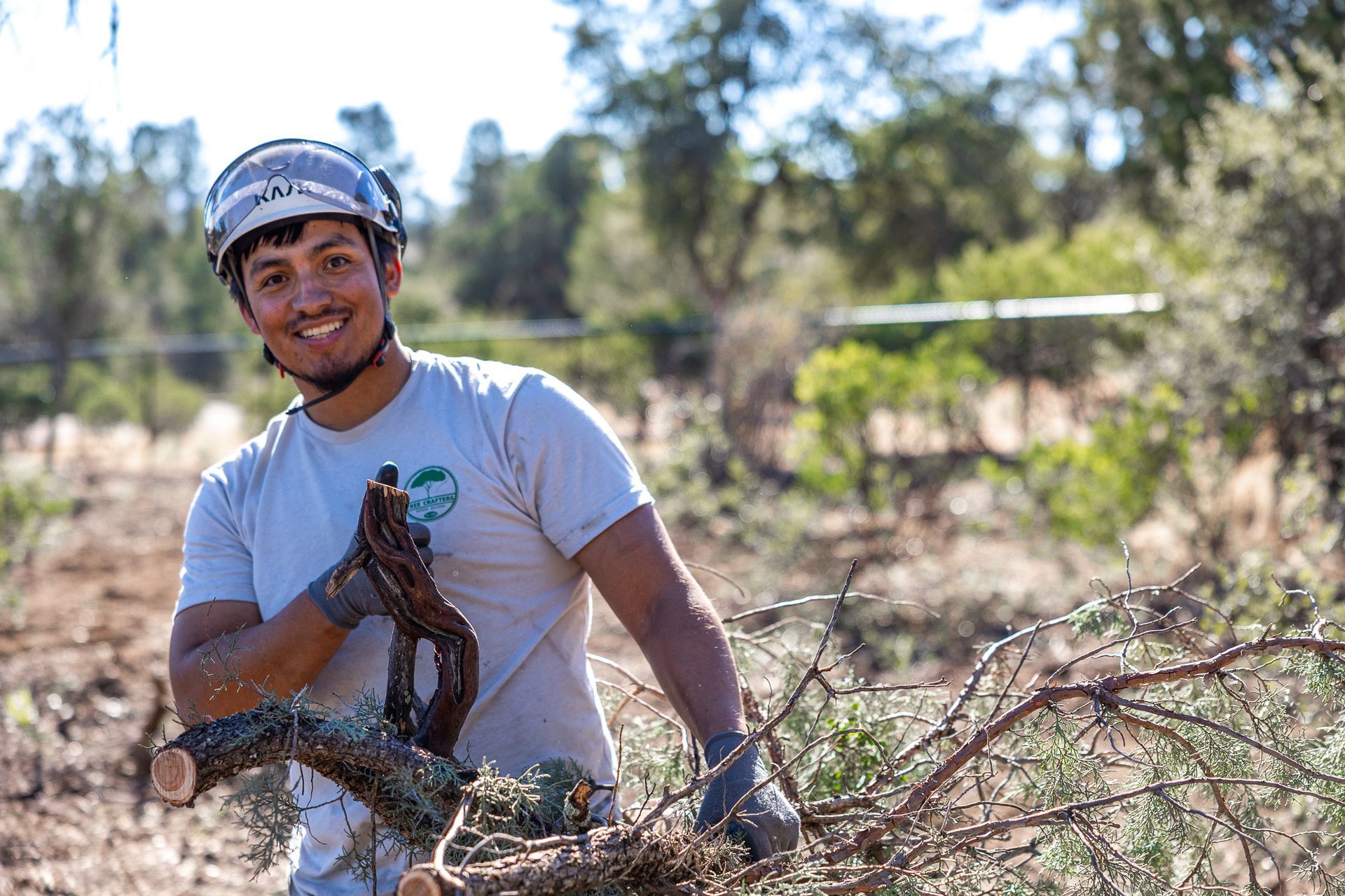 Tree Removal in Pine, AZ | Tree Crafters