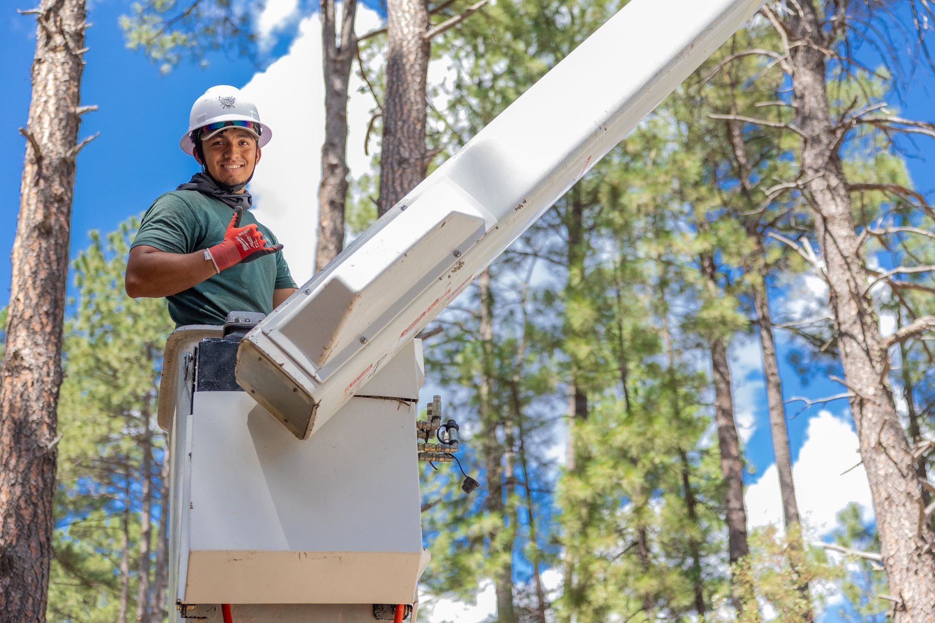 Arborist in Payson, AZ | Tree Crafters Arborist in Payson, AZ | Tree Crafters