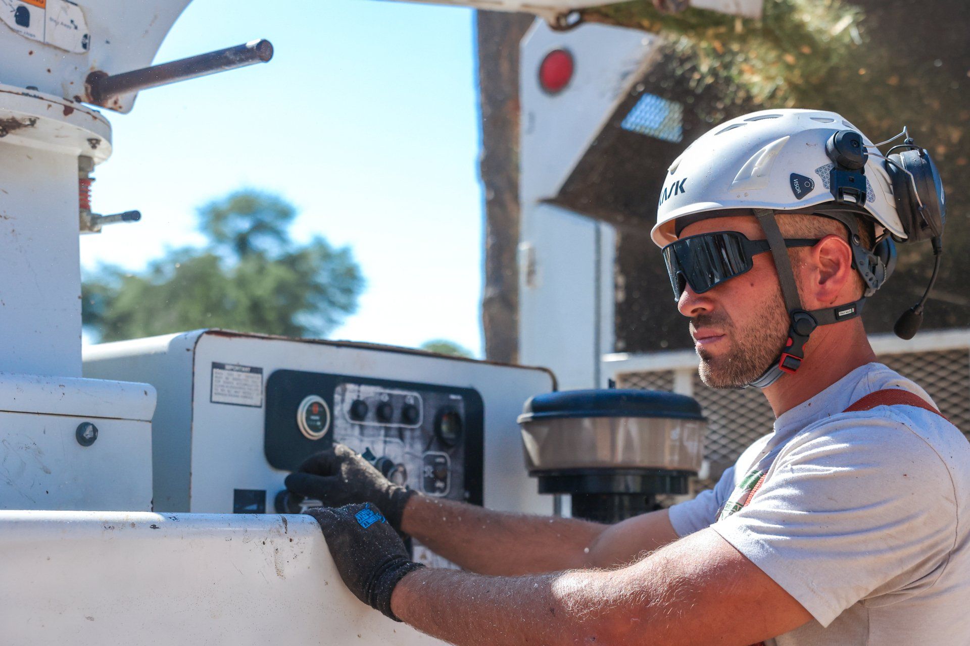 Tree Service Consultation & Evaluation in Payson, AZ | Tree Crafters