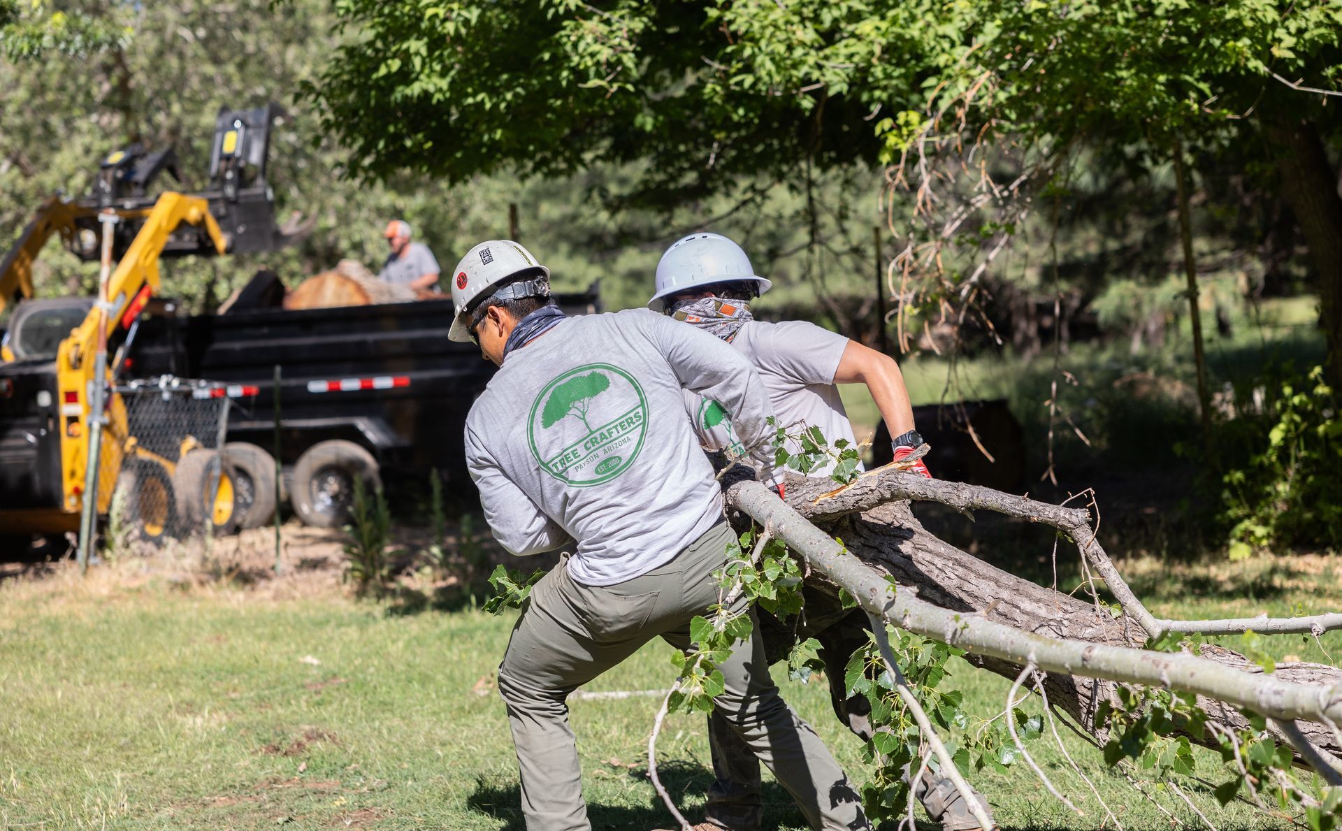 Tree Removal in Payson, AZ | Tree Crafters