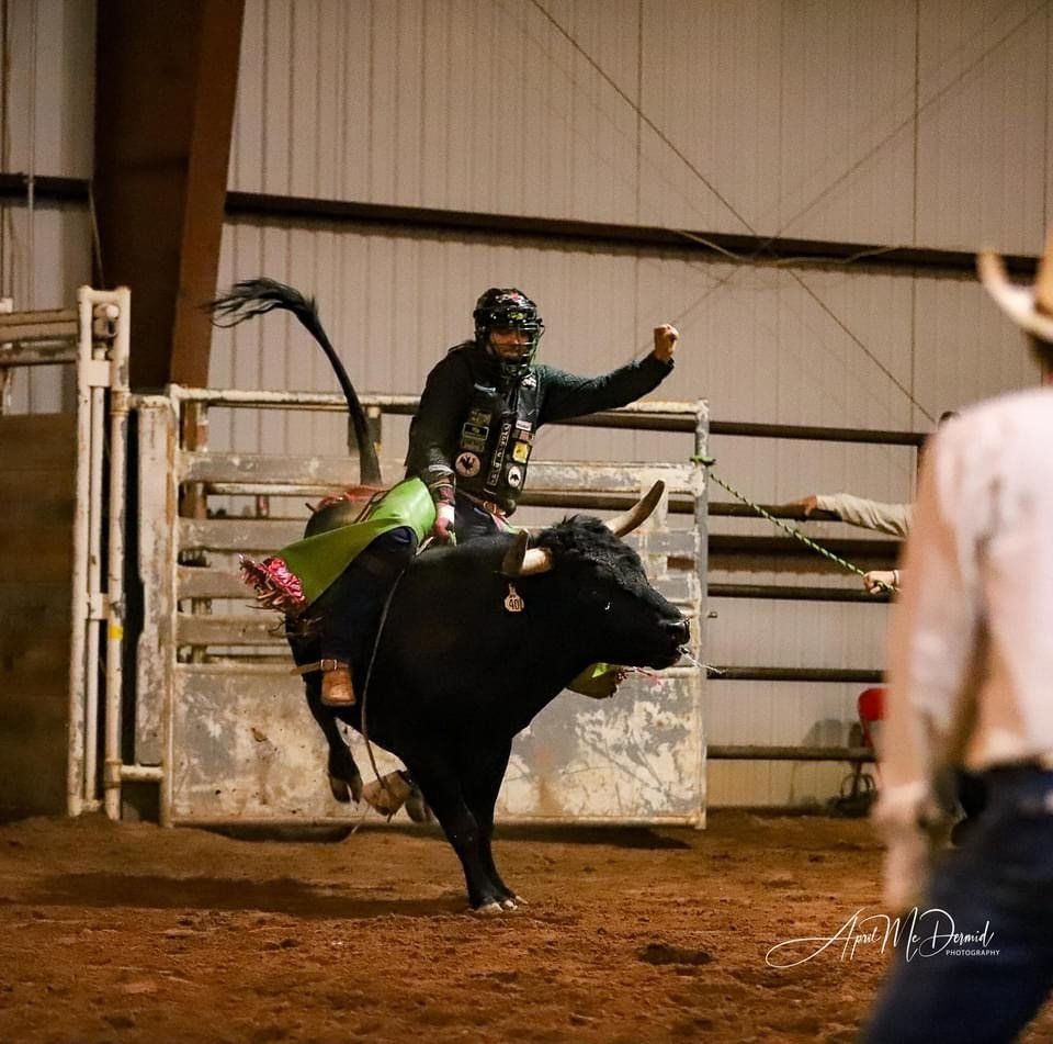 The Bull Rider
