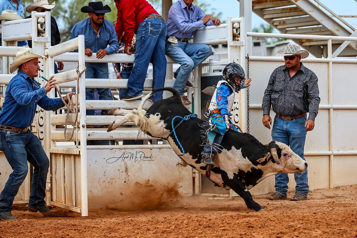 Boy riding a bucking black and white bull at a rodeo. Riders and handlers nearby.