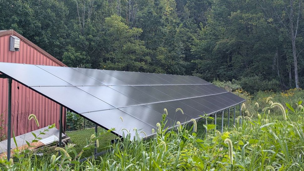 Solar panels on a metal frame next to a red building, surrounded by tall green grass and trees.