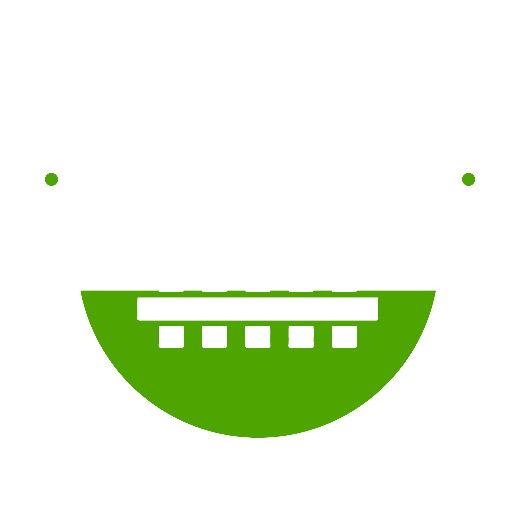 Croydon Fencing & Landscaping logo in white and green