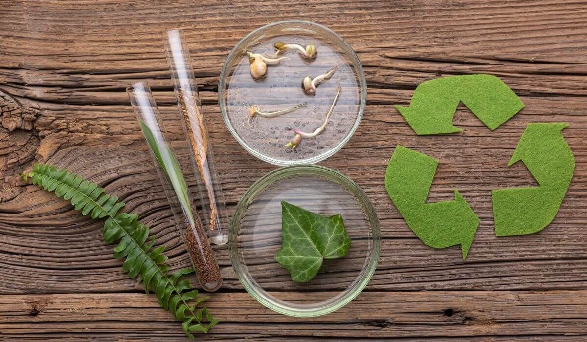eco-friendly furniture recycling