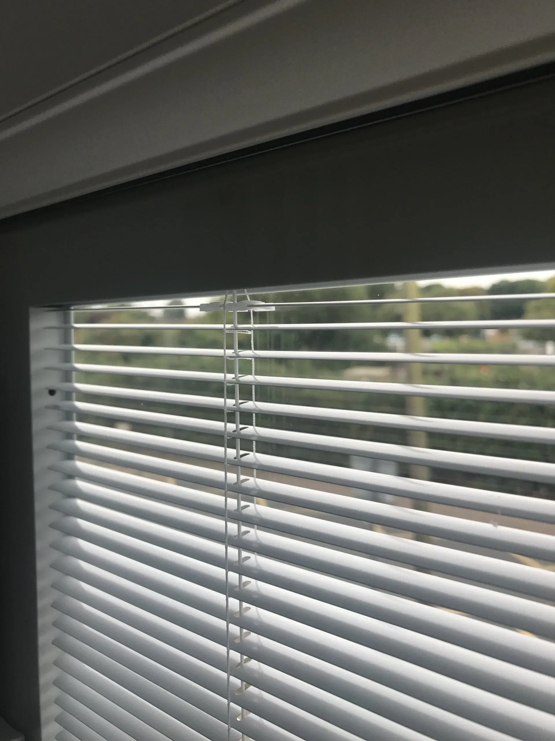 Double Glazed Integral Blinds