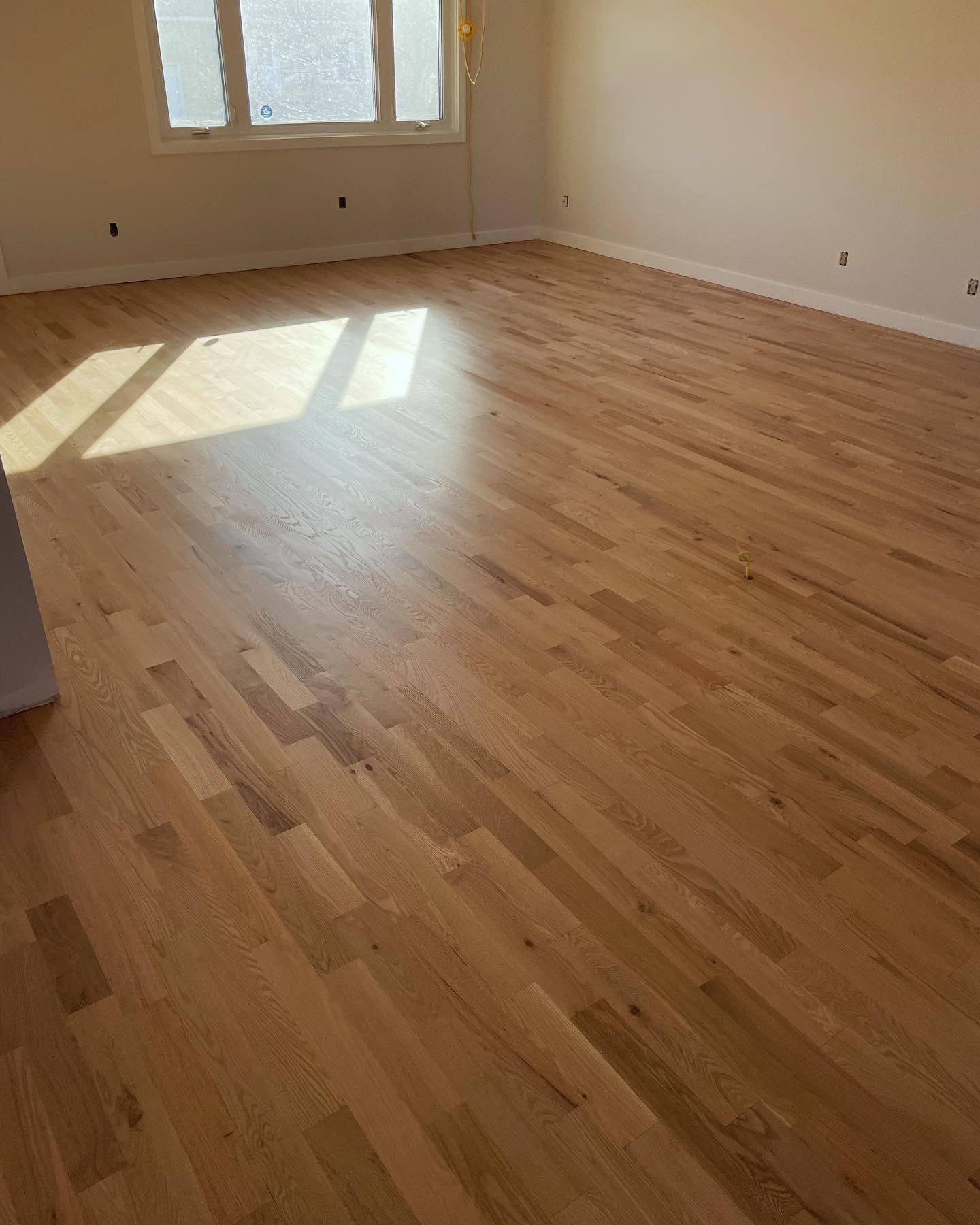 Plancher de bois franc nouvellement installé dans une pièce, lumière du soleil entrant par une fenêtre.