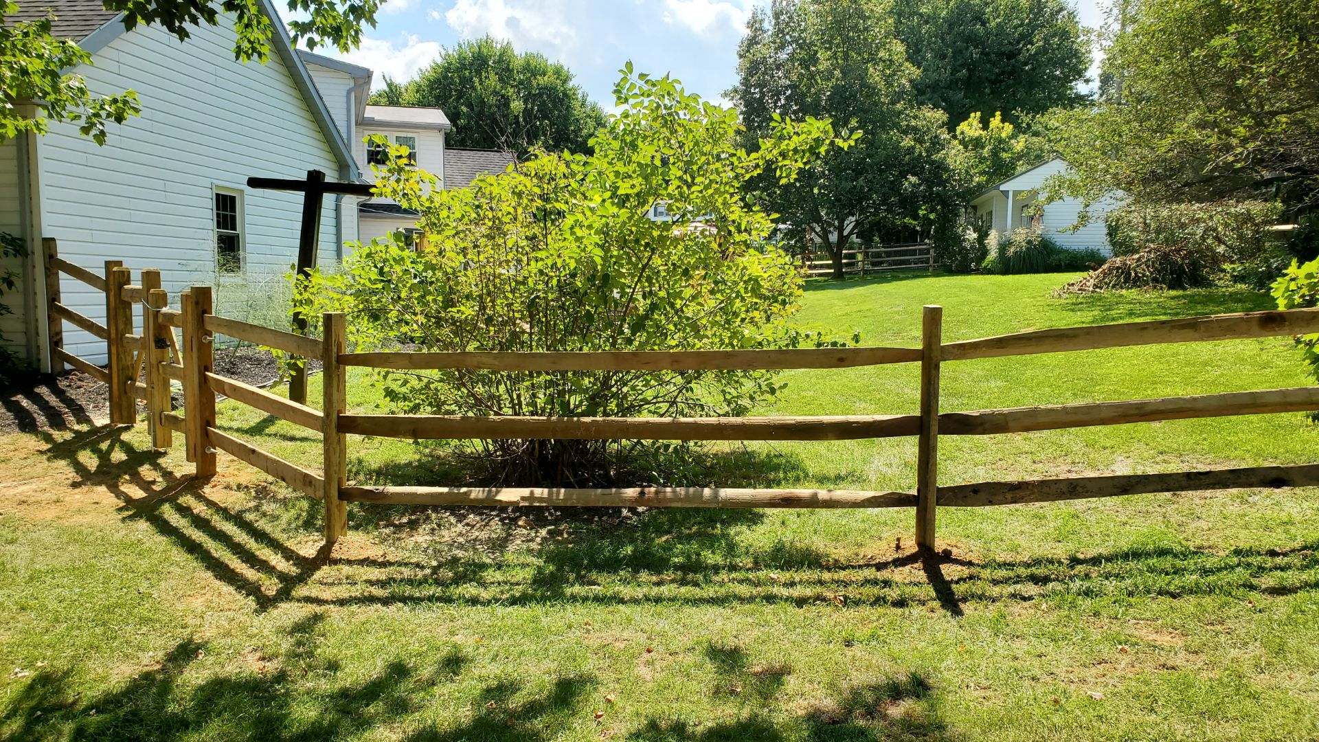 Wooden split-rail fence in a grassy yard, with a green bush in the center, and houses in the background on a sunny day.