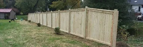 A wooden fence with a few bushes along the edge of a grassy yard. A shed and trees are visible.