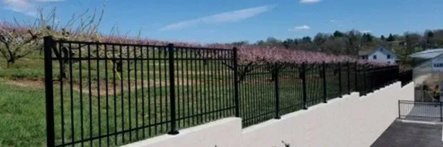 Black metal fence atop a white wall, with flowering trees and green grass behind it. Blue sky.