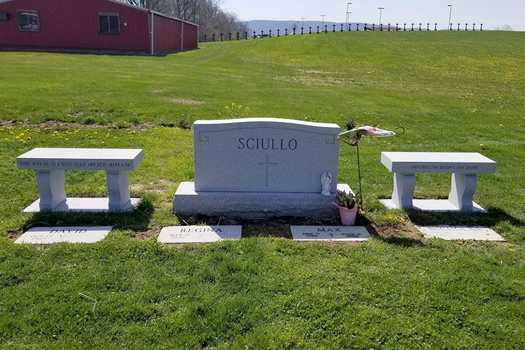 Memorial bench and two side benches on a grassy field under a clear sky