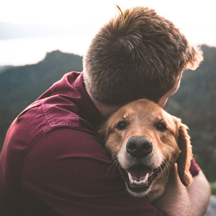 Person hugging a smiling golden dog outdoors with mountains in the background