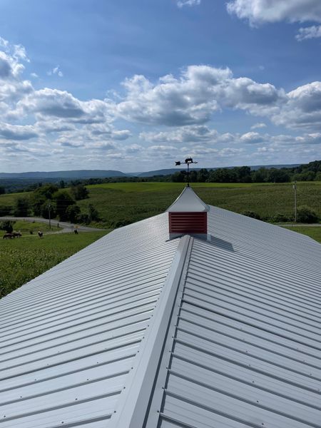 Metal roof with weathervane, green field, blue sky with clouds.
