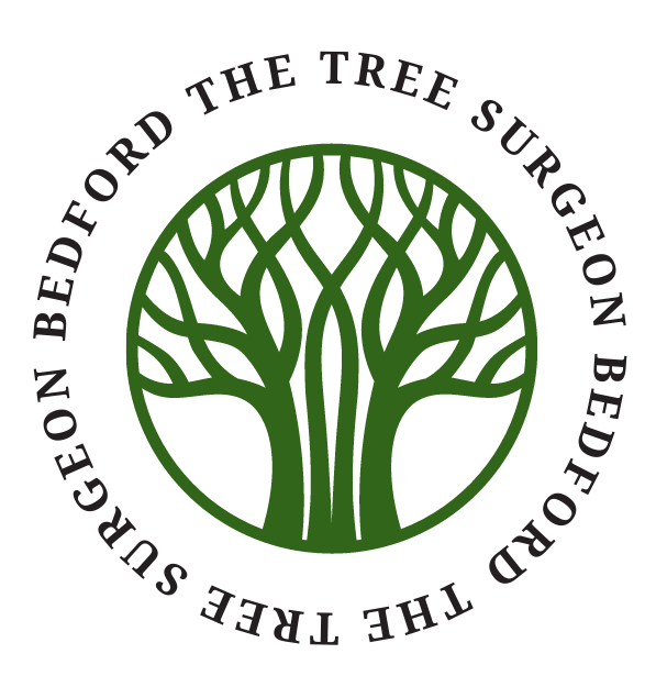 The Tree Surgeon Bedford logo
