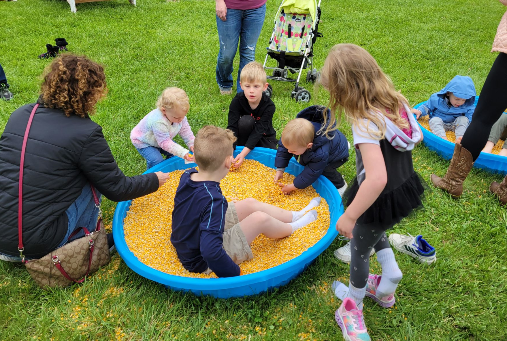 Children play in a blue plastic pool filled with dried corn kernels on a grassy lawn with adults nearby.