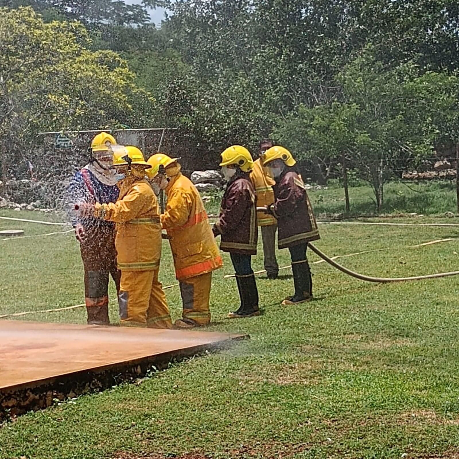 Un grupo de bomberos está rociando agua con una manguera en un campo.
