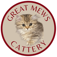 Great Mews Cattery