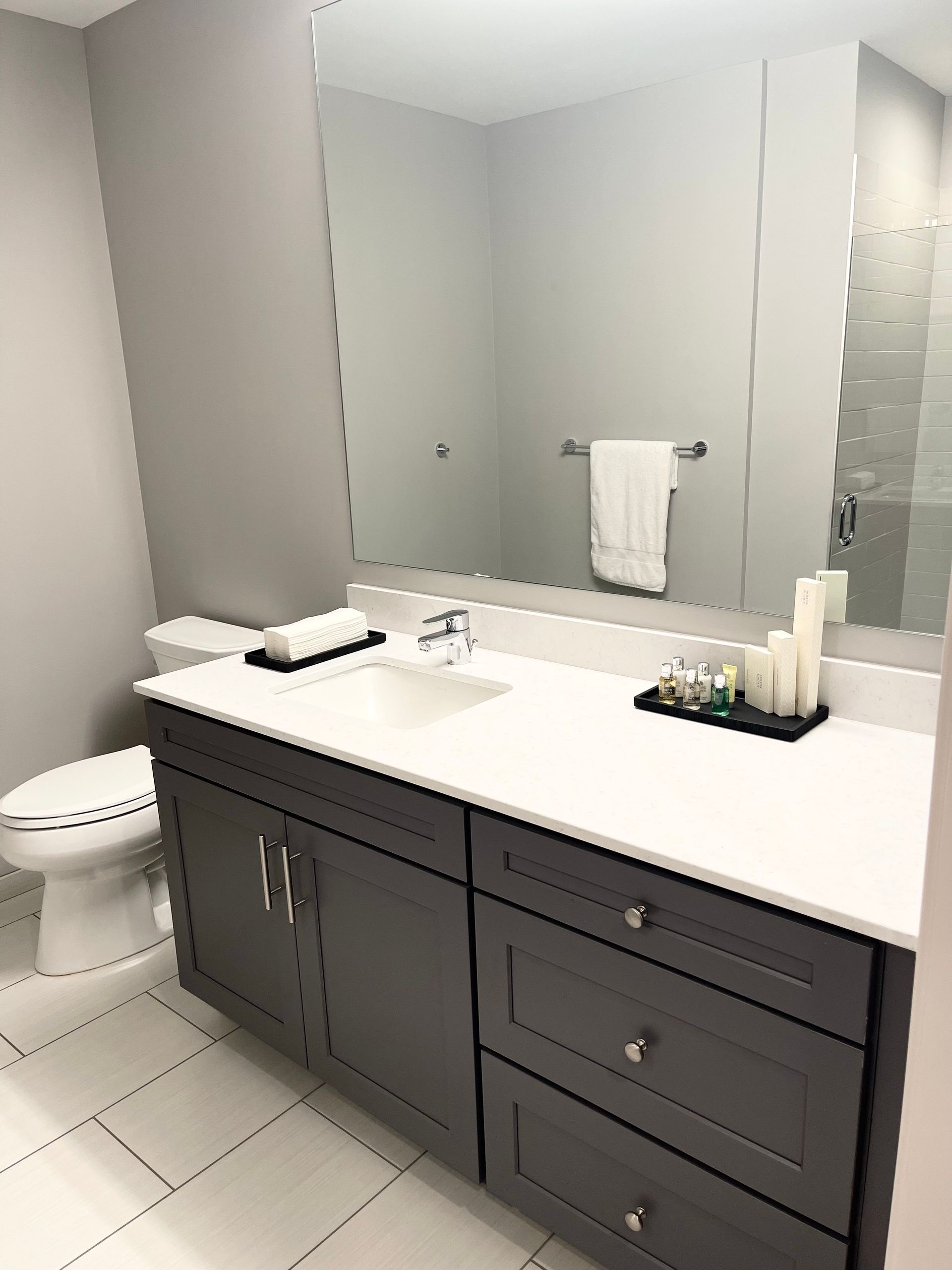 A bathroom with a sink , toilet , and mirror.