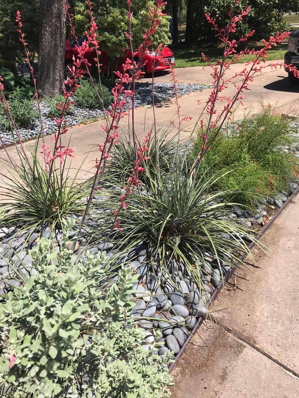 A red car is parked in a driveway next to a garden with flowers and rocks. A red car is parked in a driveway next to a garden with flowers and rocks.
