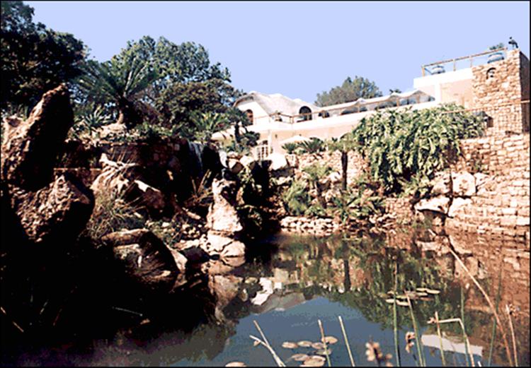 National and Regional Pool of the Year in 1999 Western Cape