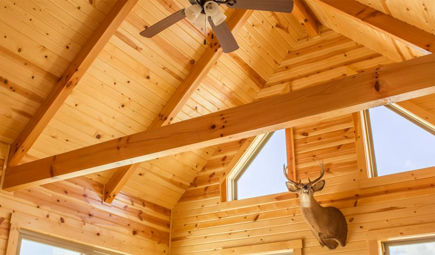 Wooden cabin interior with exposed beams, ceiling fan, deer head mount, and windows.