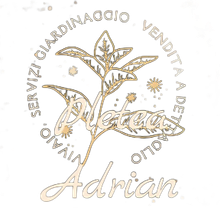 Adrian Pletea logo
