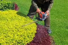 progettazione e realizzazione giardini