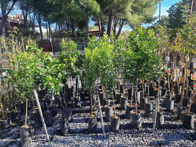 giardini personalizzati
