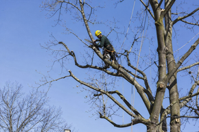 progettazione e realizzazione giardini
