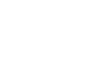 logo agenzia funebre Pieroni