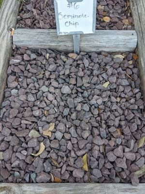 Seminole chip sign above a bed of dark rocks with a small lizard near the bottom