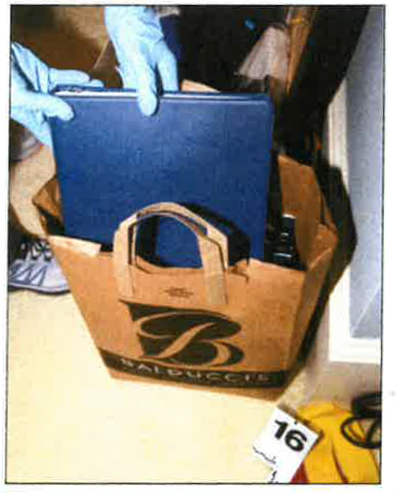 A person is holding a book in a balducci bag