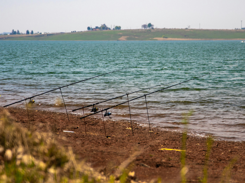 Varas de pesca ao longo da margem rochosa de um lago com águas azuis ondulantes e uma margem gramada ao longe.