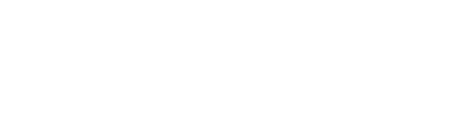 Blank white rectangle with a thin black border at the top and bottom edges