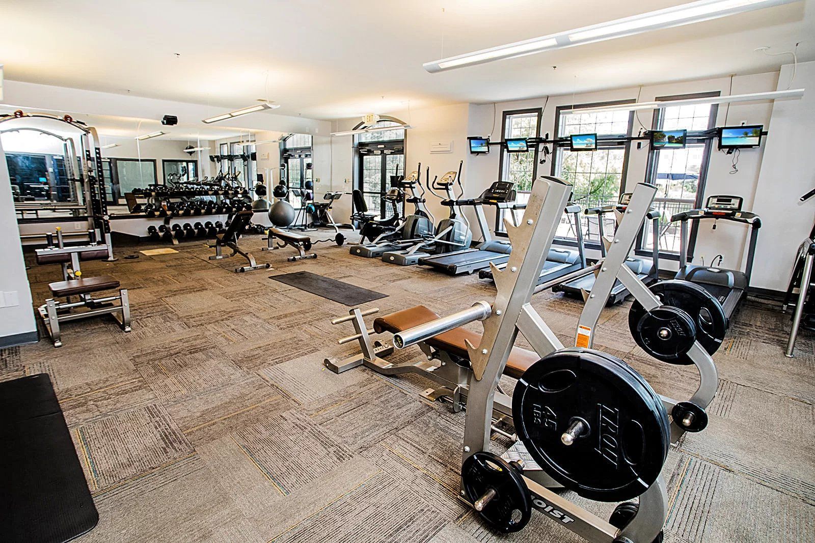 Gym with weight machines, free weights, treadmills, and mirrors. Well-lit with natural light at Hamburg Farms in Lexington.