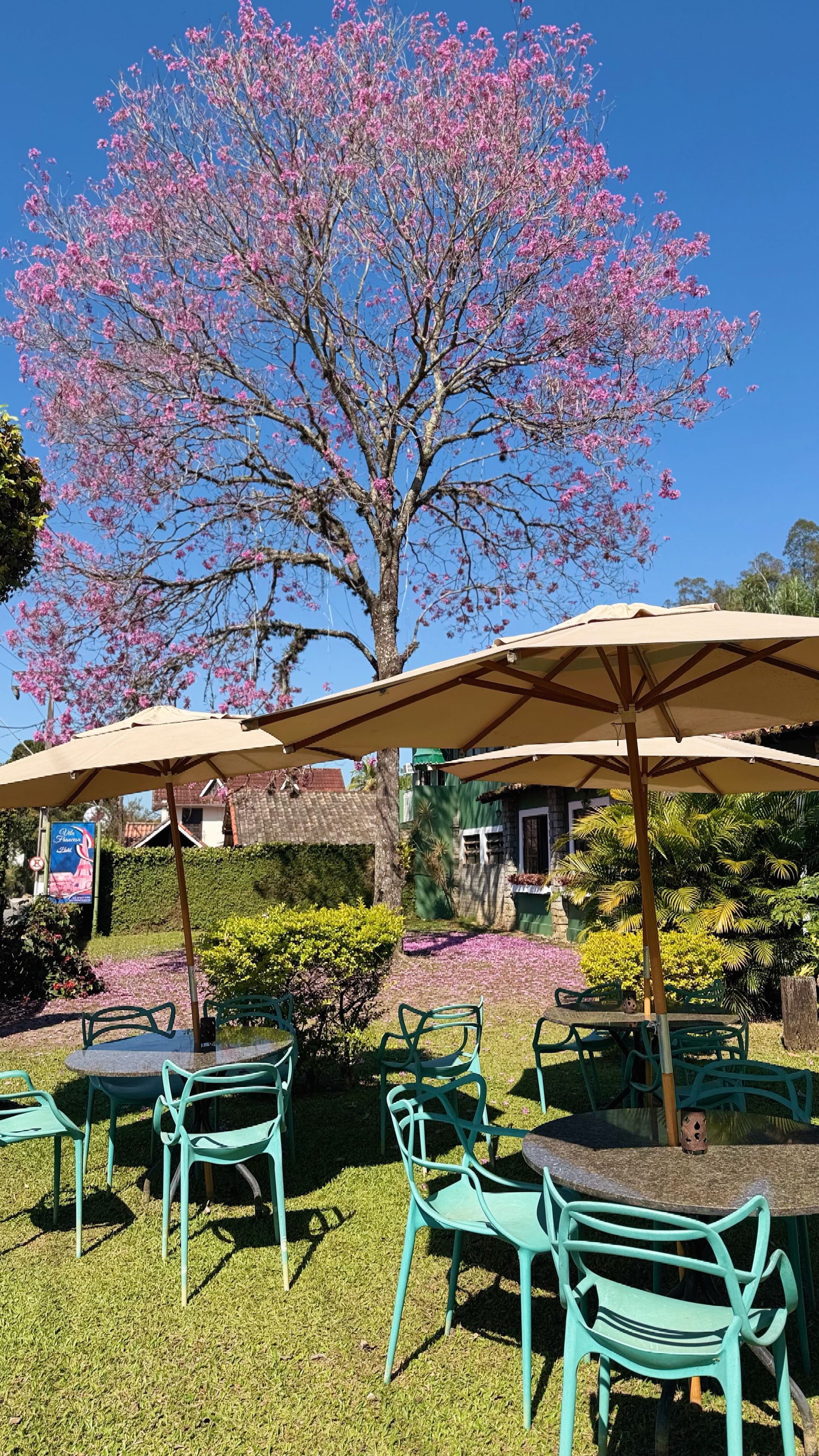 Uma casa com um gramado verdejante na frente