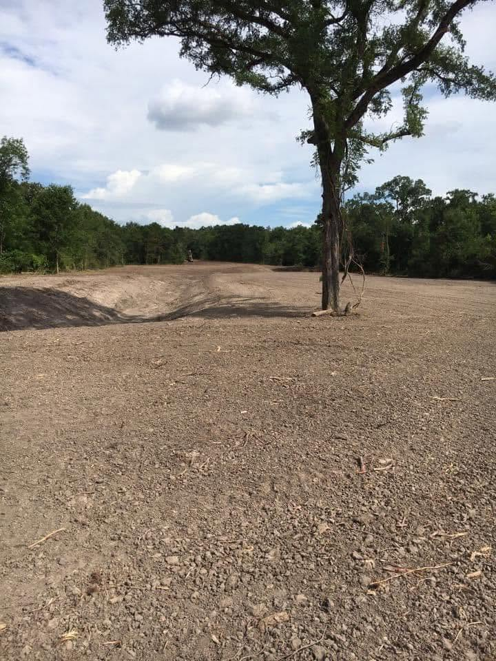 Sparse gravel clearing with a lone tree under a cloudy sky, bordered by dense green forest.