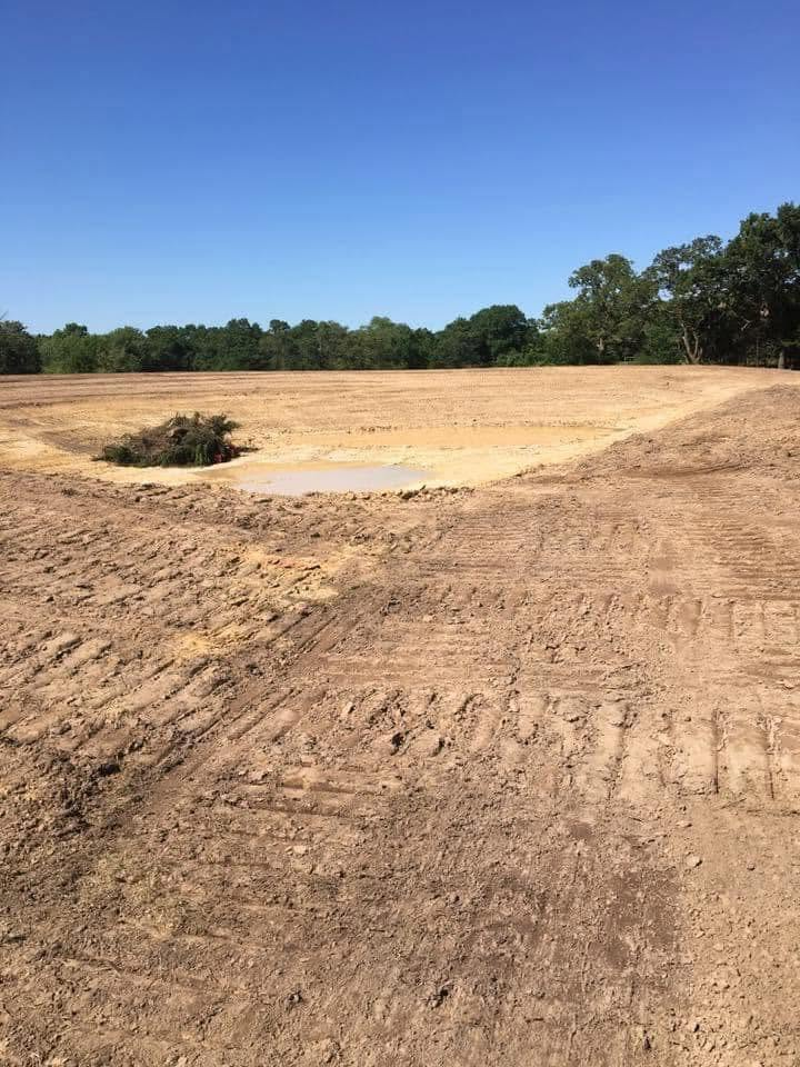 Cleared dirt construction site with graded earth and a line of trees under a clear blue sky